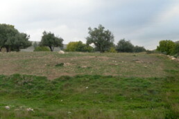 Vista occidentale dell'altura del tofet prima dello scavo | © Massimo Botto, CNR ISPC