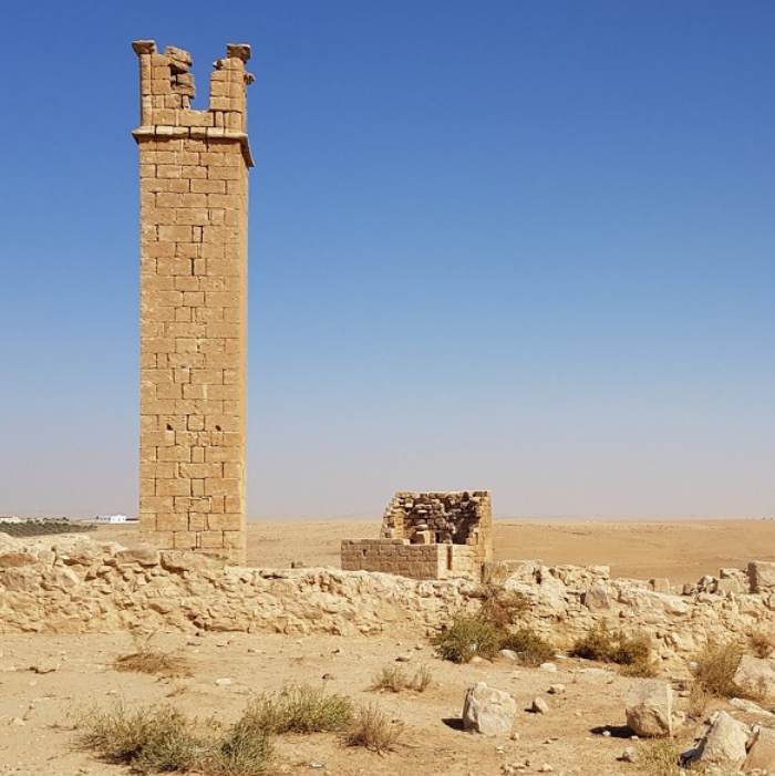 The Stylite Tower and the Castrum of Umm ar-Rasas | Istituto di Scienze ...