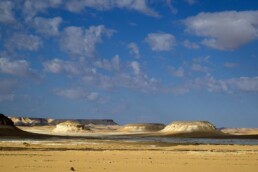 Wadi el Obeiyid, Farafra Oasis. Panoramic view | © C. de la Fuente, FOPP Archive