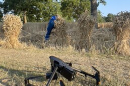 Riprese con drone e da terra della mietitura tradizionale | © Elisa Dalla Longa e Alfonsina Pagano, CNR ISPC